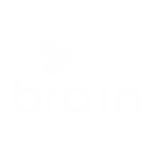 Brain